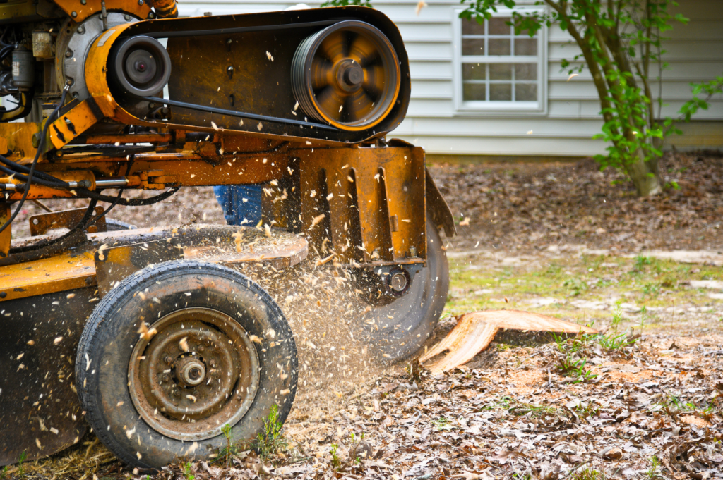 Stump Grinding tree service eugene oregon