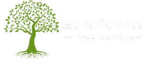 EverGreen Tree Services Provide Tree trimming, pruning, removal, stump grinding, tree cabling, tree planning services
