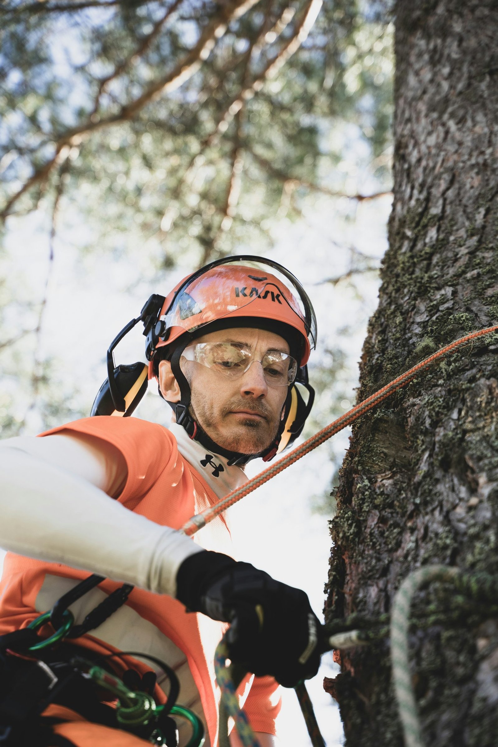 A man performing tree Services in Eugene oregon