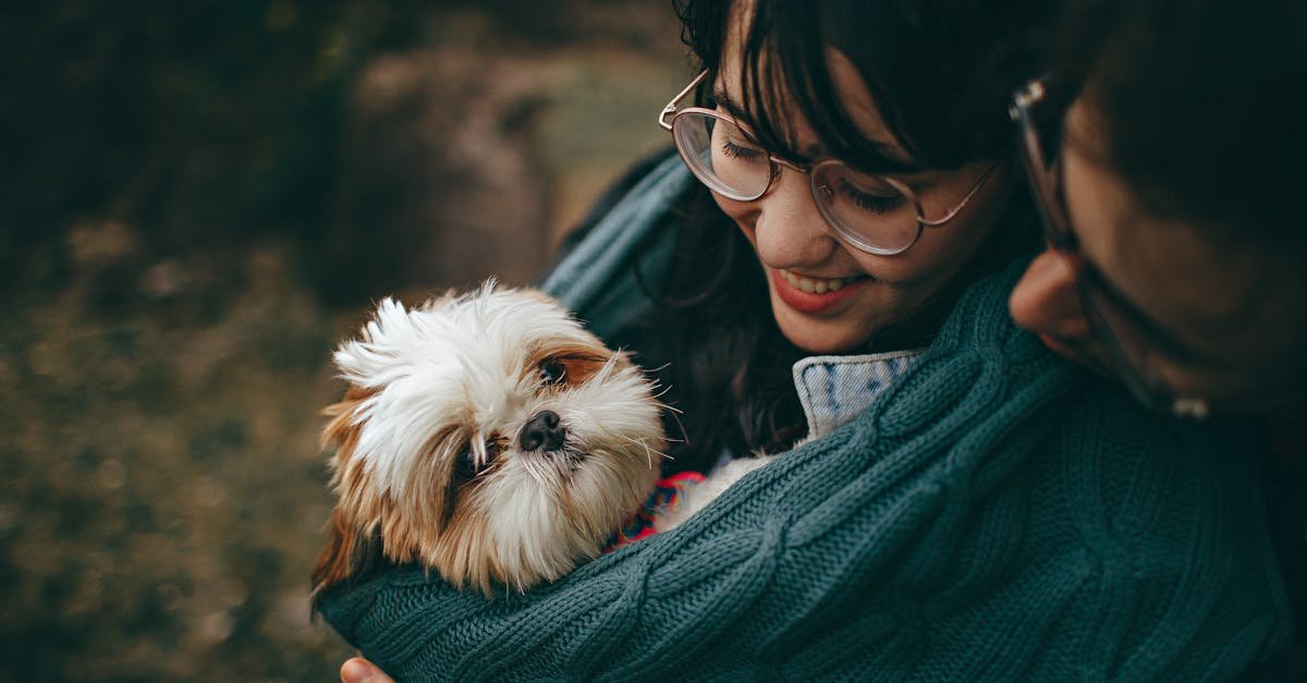 Emergency Preparedness and Special Consideration for pets in eugene OR